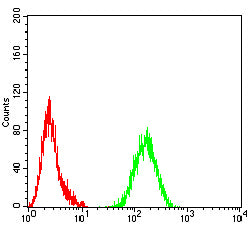 Figure 4: Flow cytometric analysis of Hela cells using BAX mouse mAb (green) and negative control (red).