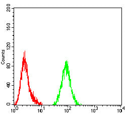 Figure 4: Flow cytometric analysis of Hela cells using TET2 mouse mAb (green) and negative control (red).