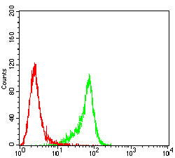 Figure 5: Flow cytometric analysis of Hela cells using NCAM1 mouse mAb (green) and negative control (red).