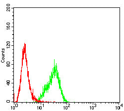 Figure 5: Flow cytometric analysis of Hela cells using NCAM1 mouse mAb (green) and negative control (red).