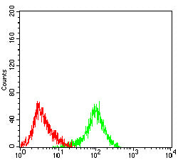 Figure 6: Flow cytometric analysis of LNCAP cells using MYLK mouse mAb (green) and negative control (red).