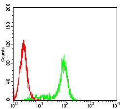 Figure 4: Flow cytometric analysis of Hela cells using FGL1 mouse mAb (green) and negative control (red).