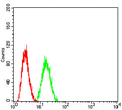 Figure 4: Flow cytometric analysis of Hela cells using ADAM10 mouse mAb (green) and negative control (red).