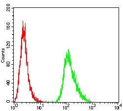 Figure 5: Flow cytometric analysis of HepG2 cells using MUC2 mouse mAb (green) and negative control (red).