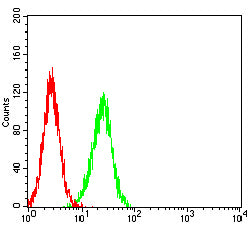 Figure 4: Flow cytometric analysis of SK-OV-3 cells using MUC16 mouse mAb (green) and negative control (red).