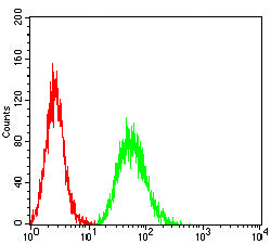 Figure 5: Flow cytometric analysis of HL-60 cells using CD137 mouse mAb (green) and negative control (red).