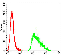 Figure 6: Flow cytometric analysis of Hela cells using TET2 mouse mAb (green) and negative control (red).