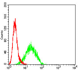 Figure 5: Flow cytometric analysis of Hela cells using CDKN1C mouse mAb (green) and negative control (red).