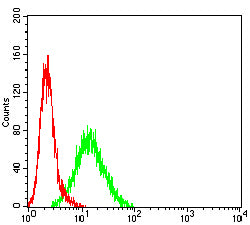 Figure 6: Flow cytometric analysis of MCF-7 cells using CDKN1C mouse mAb (green) and negative control (red).