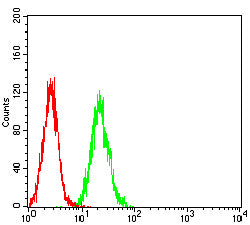Figure 4: Flow cytometric analysis of SK-OV-3 cells using SP17 mouse mAb (green) and negative control (red).