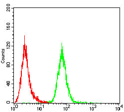 Figure 5: Flow cytometric analysis of HepG2 cells using ALB mouse mAb (green) and negative control (red).