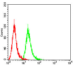 Figure 5: Flow cytometric analysis of HepG2 cells using ALB mouse mAb (green) and negative control (red).