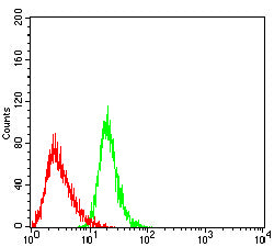 Figure 4: Flow cytometric analysis of Jurkat cells using CD267 mouse mAb (green) and negative control (red).
