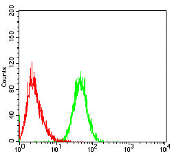 Figure 4: Flow cytometric analysis of Jurkat cells using CD3D mouse mAb (green) and negative control (red).
