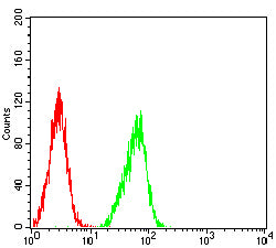 Figure 5: Flow cytometric analysis of SK-OV-3 cells using SP10 mouse mAb (green) and negative control (red).