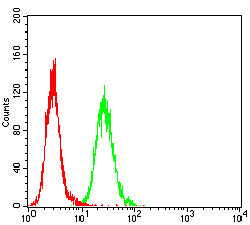 Figure 4: Flow cytometric analysis of Hela cells using SP10 mouse mAb (green) and negative control (red).