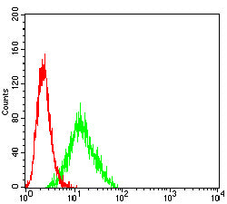 Figure 5: Flow cytometric analysis of CD45R cells using THP-1 mouse mAb (green) and negative control (red).