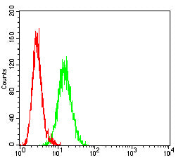 Figure 4: Flow cytometric analysis of Hela cells using CD147 mouse mAb (green) and negative control (red).