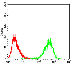 Figure 5: Flow cytometric analysis of Jurkat cells using CD99 mouse mAb (green) and negative control (red).