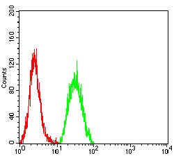 Figure 5: Flow cytometric analysis of Hela cells using SALL4 mouse mAb (green) and negative control (red).