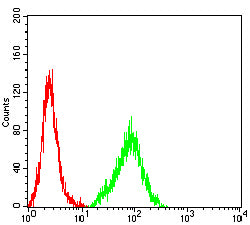 Figure 4: Flow cytometric analysis of Hela cells using FLI1 mouse mAb (green) and negative control (red).