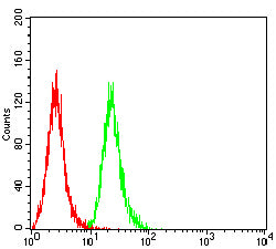 Figure 4: Flow cytometric analysis of THP-1 cells using TNFRSF25 mouse mAb (green) and negative control (red).