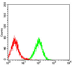 Figure 5: Flow cytometric analysis of Jurkat cells using TNFRSF25 mouse mAb (green) and negative control (red).