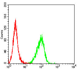 Figure 4: Flow cytometric analysis of THP-1 cells using TNFRSF25 mouse mAb (green) and negative control (red).