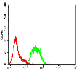 Figure 5: Flow cytometric analysis of Hela cells using CD57 mouse mAb (green) and negative control (red).