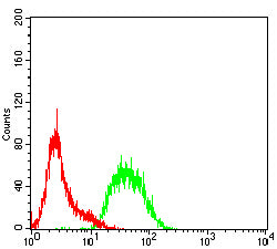 Figure 4: Flow cytometric analysis of Jurkat cells using CD57 mouse mAb (green) and negative control (red).