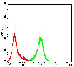Figure 4: Flow cytometric analysis of Hela cells using CD57 mouse mAb (green) and negative control (red).