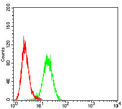 Figure 4: Flow cytometric analysis of Hepg2 cells using CLDN6 mouse mAb (green) and negative control (red).