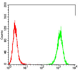 Figure 2: Flow cytometric analysis of Hela cells using TP63 mouse mAb (green) and negative control (red).