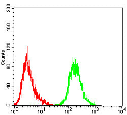 Figure 6: Flow cytometric analysis of Jurkat cells using CD5 mouse mAb (green) and negative control (red).