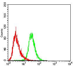 Figure 4: Flow cytometric analysis of THP-1 cells using CD5 mouse mAb (green) and negative control (red).