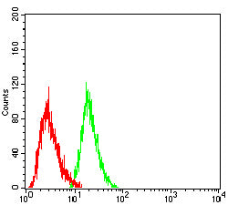 Figure 4: Flow cytometric analysis of THP-1 cells using CDX2 mouse mAb (green) and negative control (red).