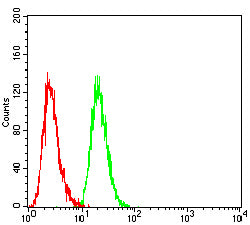 Figure 5: Flow cytometric analysis of Hepg2 cells using PMS2 mouse mAb (green) and negative control (red).