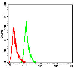 Figure 6: Flow cytometric analysis of NIH3T3 cells using PMS2 mouse mAb (green) and negative control (red).