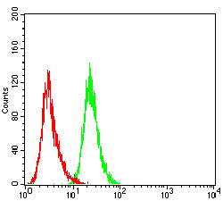 Figure 4: Flow cytometric analysis of A431 cells using PMS2 mouse mAb (green) and negative control (red).