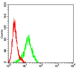 Figure 6: Flow cytometric analysis of HepG2 cells using GPC3 mouse mAb (green) and negative control (red).