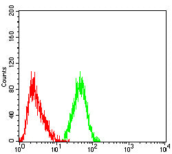 Figure 5: Flow cytometric analysis of Jurkat cells using CD21 mouse mAb (green) and negative control (red).