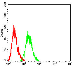 Figure 4: Flow cytometric analysis of HL-60 cells using CD21 mouse mAb (green) and negative control (red).