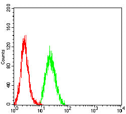 Figure 5: Flow cytometric analysis of Hela cells using CCND1 mouse mAb (green) and negative control (red).