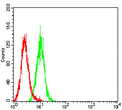 Figure 4: Flow cytometric analysis of Hela cells using CCND1 mouse mAb (green) and negative control (red).