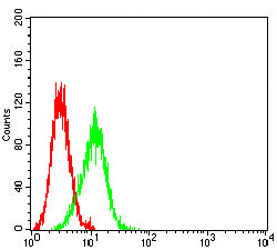 Figure 5: Flow cytometric analysis of SK-OV-3 cells using PAX8 mouse mAb (green) and negative control (red).