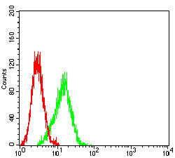 Figure 5: Flow cytometric analysis of SK-OV-3 cells using PAX8 mouse mAb (green) and negative control (red).