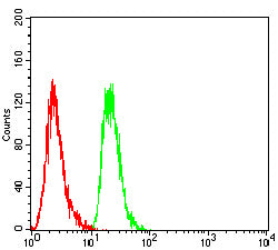 Figure 5: Flow cytometric analysis of Hela cells using ERCC1 mouse mAb (green) and negative control (red).