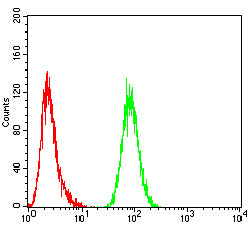 Figure 5: Flow cytometric analysis of Hela cells using MSH6 mouse mAb (green) and negative control (red).