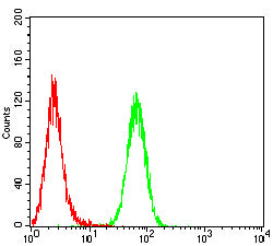 Figure 4: Flow cytometric analysis of THP-1 cells using TSLPR mouse mAb (green) and negative control (red).