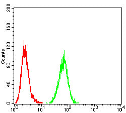 Figure 5: Flow cytometric analysis of Raji cells using CD40 mouse mAb (green) and negative control (red).